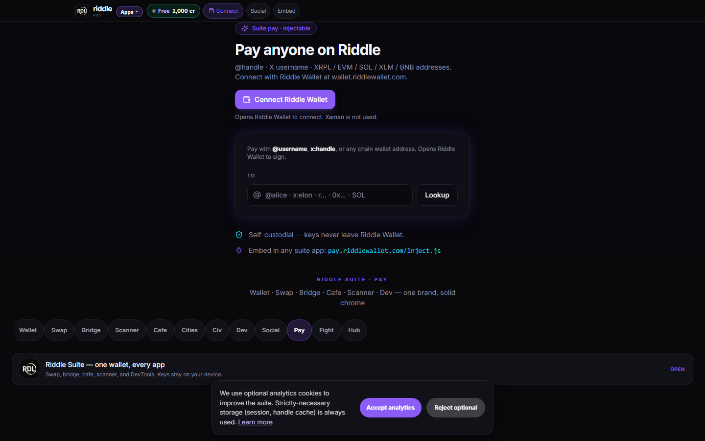 Live production screenshot of Riddle Pay